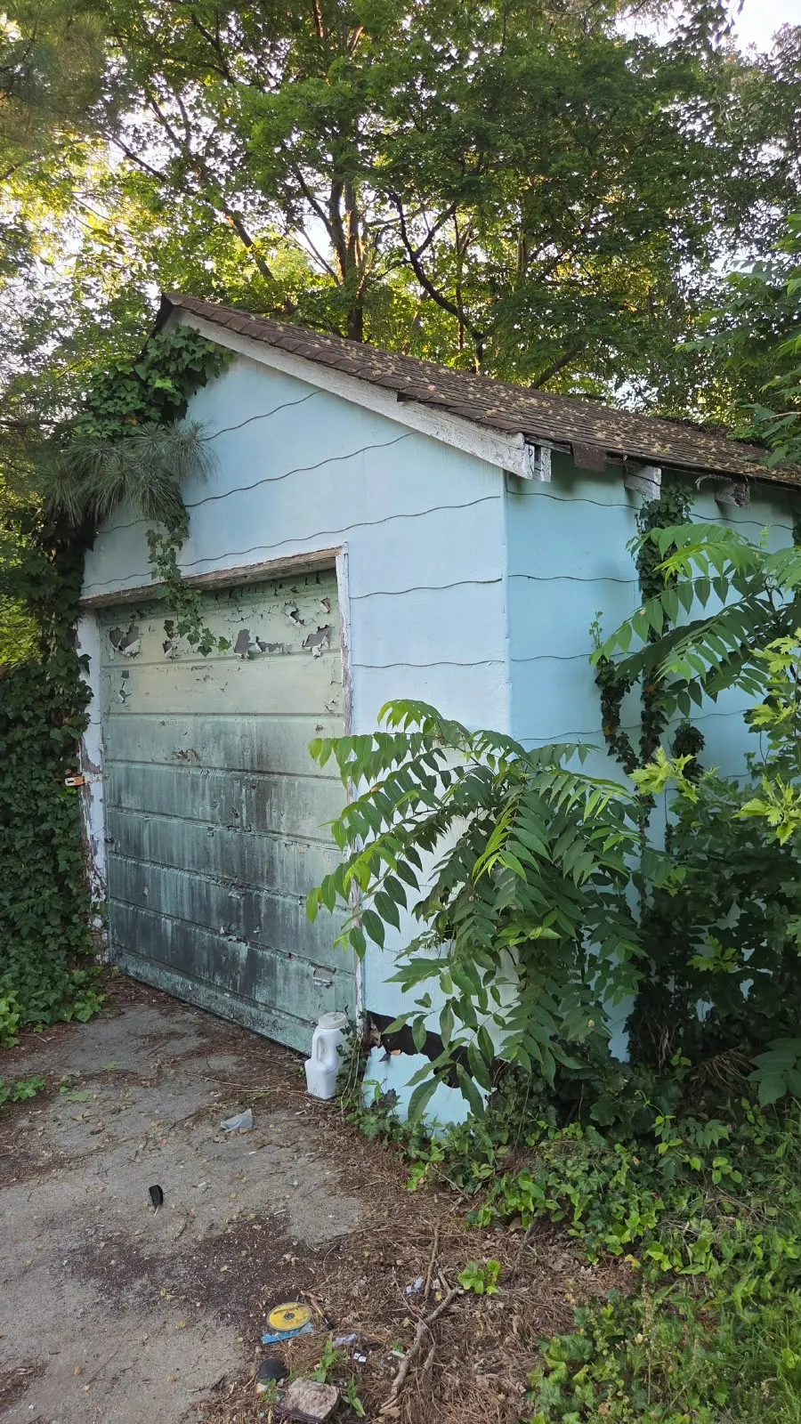 Detached garage with overgrowth before cleanup in Hampton, VA