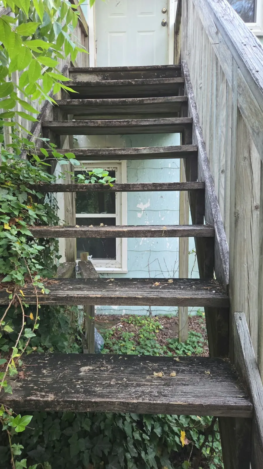 Old wood exterior stairs covered in ivy before replacement in Hampton, VA