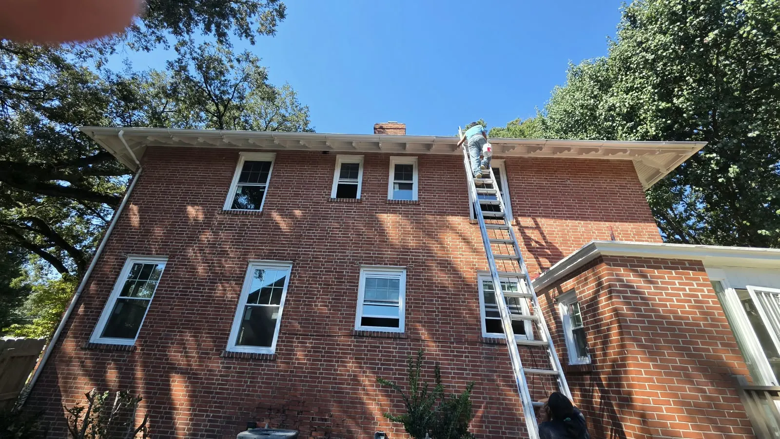 Brick house rear wall with replacement windows and a ladder in Hampton, VA