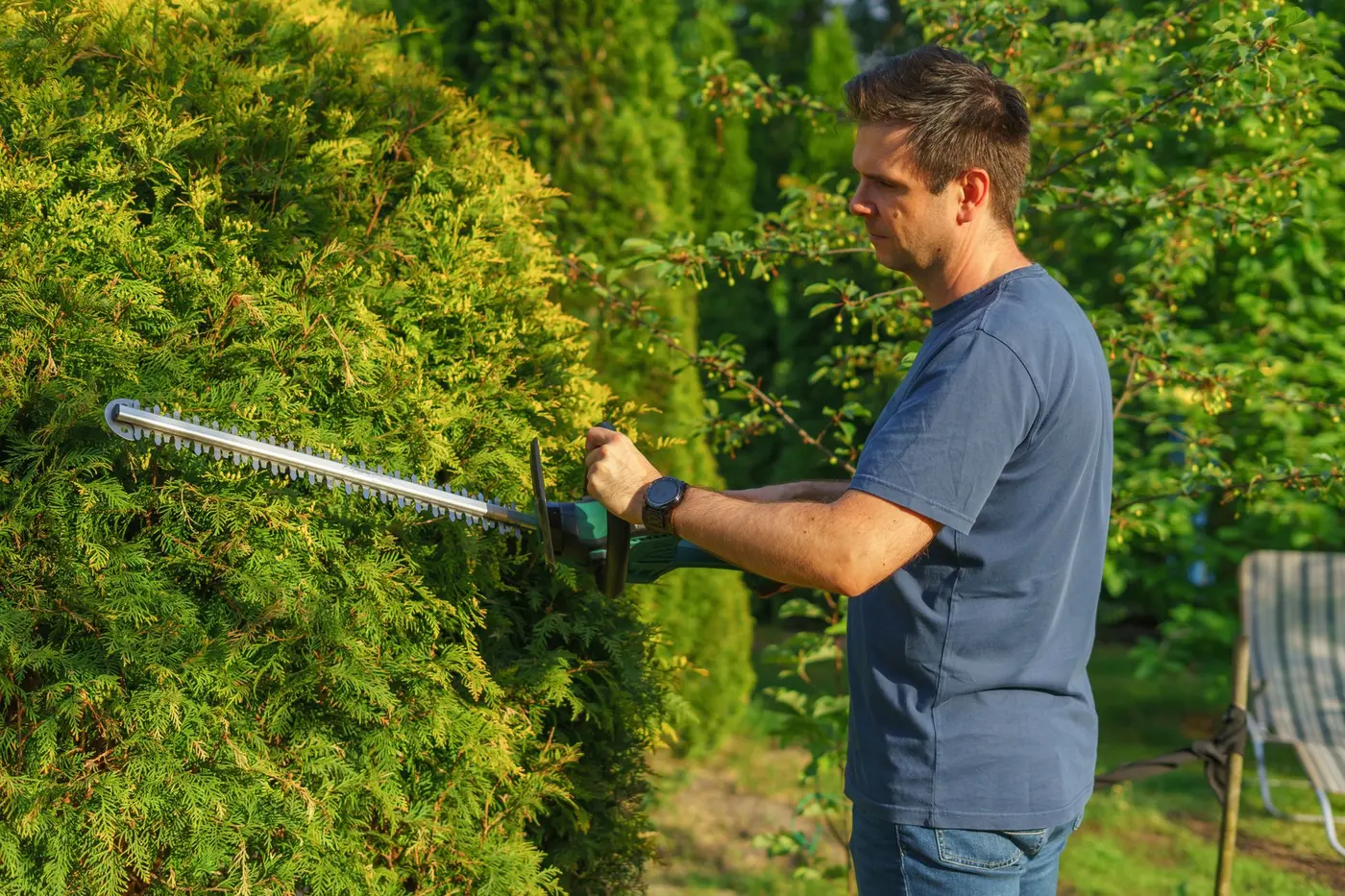 Landscaping in Hampton, VA